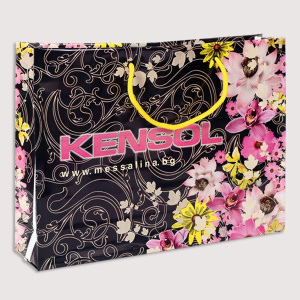 Click for enlarging Luxury Plastic Bags with Rope Handles 0