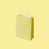 Paper bag EP-100 0