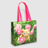 "UltraShopper" laminated non woven PP bags 1